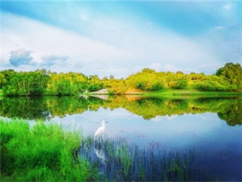 ������ǣ�ˮ������