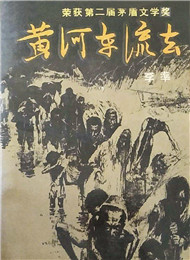 ��׼���ƺӶ���ȥ��