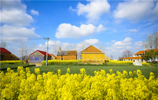 �����ڣ�������������ѧ��Ʒ����