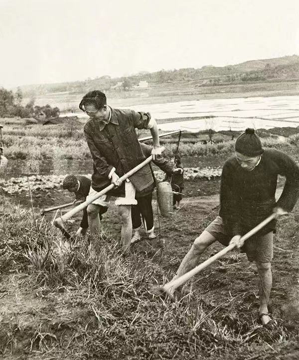 ͼΪ����������Ϫ����������һ�������� �羺���¹�ͼ