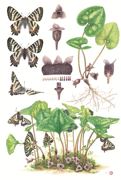 ������滭���л�������Ͷź⡷���������ӱ�� �����������־��ͼ