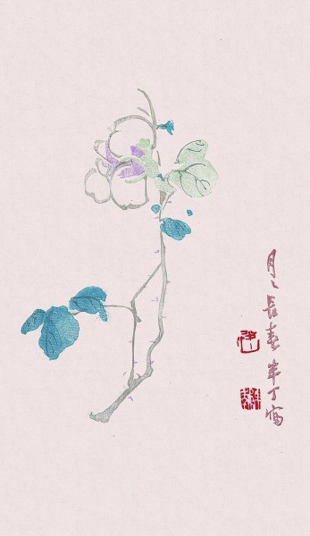 ���³��� �°붡