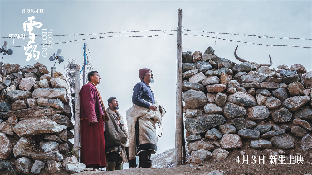 ��ѩ��������