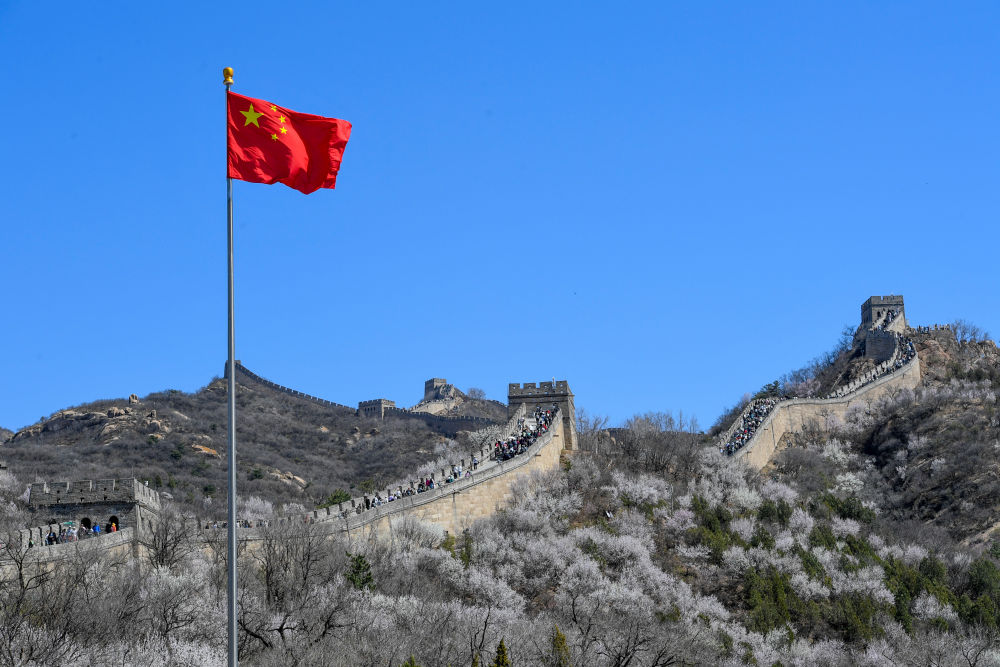 2024��4��7�գ��ο���ɽ��ʢ���İ˴��볤�ǹ۹��������»������ �ϻ��� ��