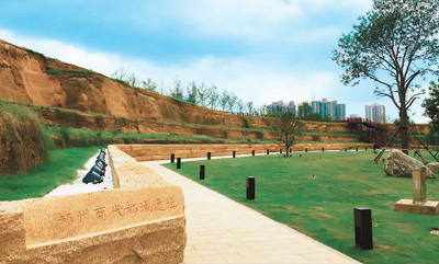 ��֣���̴�������ַ�ڳ�ԫ�ֲ�