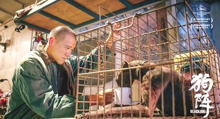 ��Ӱ�����󡷾���