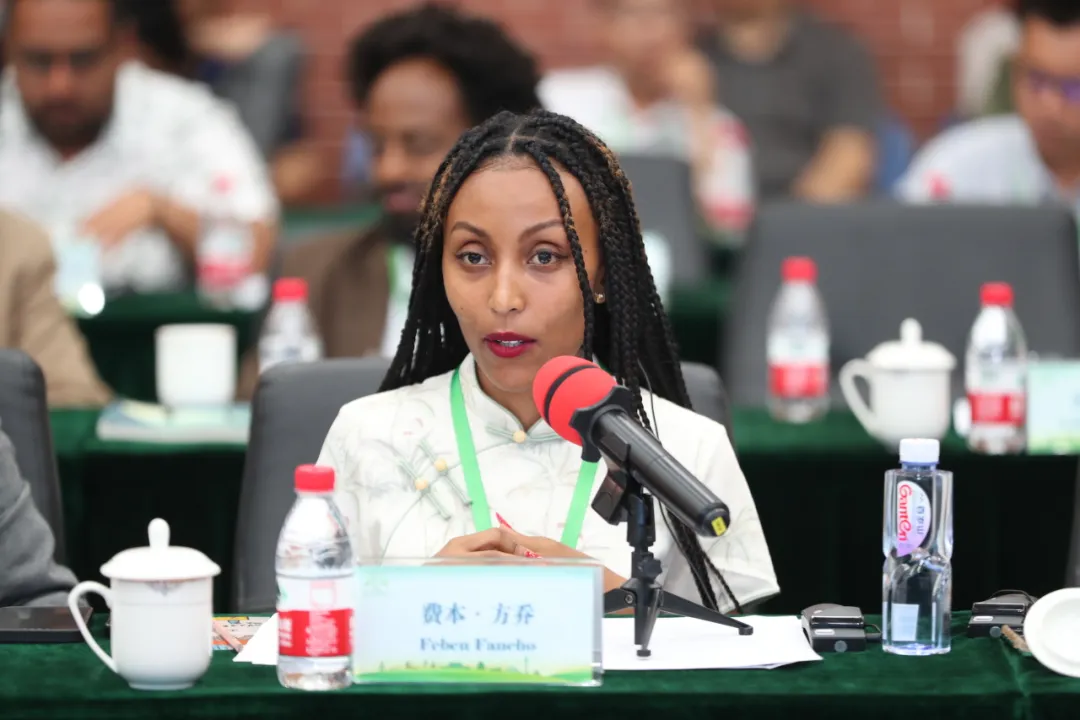 ����������ʫ�˷ѱ�������