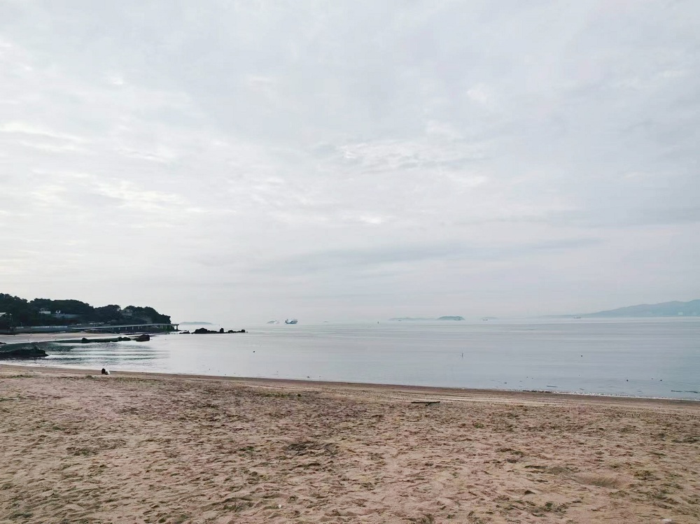 �ӳ�ϲ���ں�����һ�ߣ���Ƭ��̲�����Һܽ���ʮ�������Ҿ���