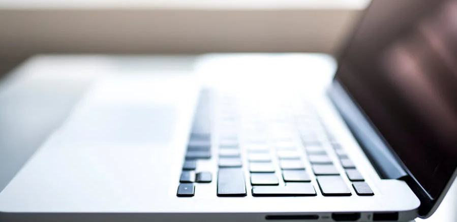 ������ѧ��Ԫ����չ�����½׶�