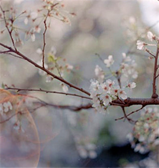 ���ֻ�����������չ����λع�������Դ