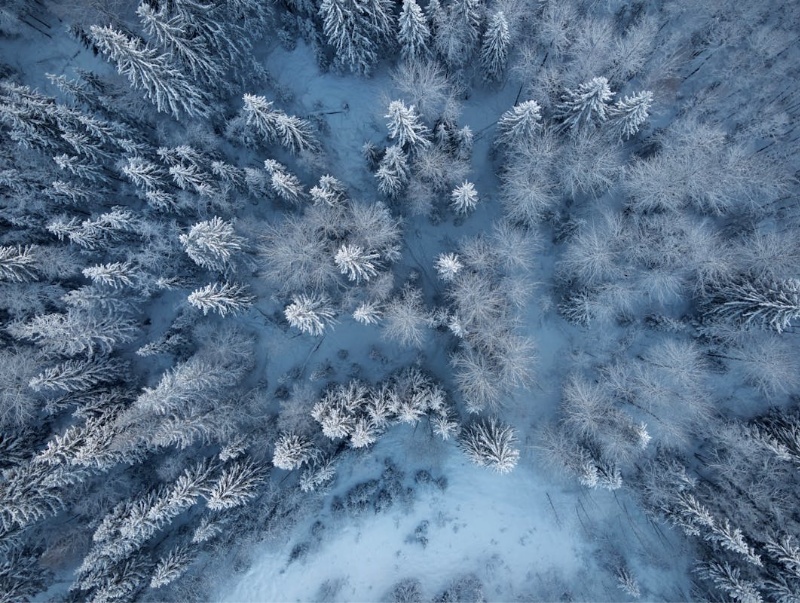 �ҵġ��ؼ�֮�顱������