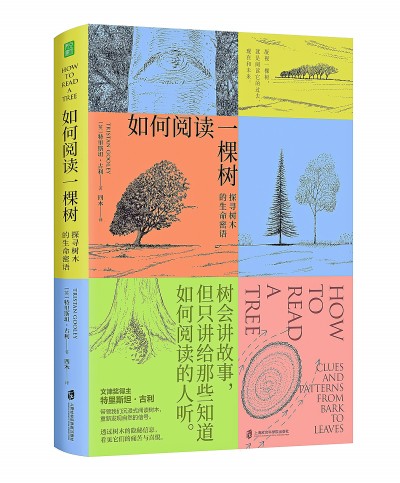 ���¹������