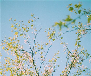 ̸�Ĵ�����е���е��򣺴����Ļ���к�������ֵ