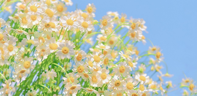 �༭�������ů