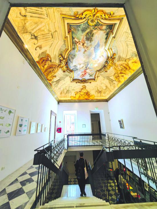 �߶ȿռ�����ھ�